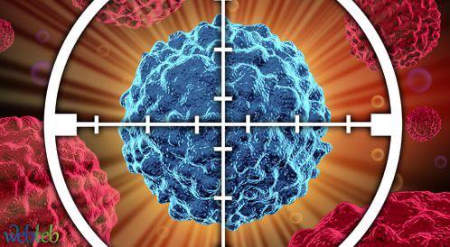 مقالة علمية بعنوان"ثورة في علاج السرطان: الابتكارات العلمية الحديثة التي تُحدث تحولًا في المعركة ضد المرض" للطالبة(رقيه حيدر مهدي) جامعة المستقبل-كلية العلوم-قسم علوم الفيزياء الطبية- المرحلة الثالثة-كروبH وباشراف (م.م علي جعفر عبيد)