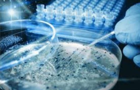 مقالة علمية بعنوان "جهاز استخراج الحمض النووي" للطالبة (فرح فؤاد كاظم) جامعة المستقبل-كلية العلوم-قسم علوم الفيزياء الطبية- المرحلة الثانيه_كروبE وبأشراف الاستاذ (م .محمد جمال اسود)