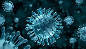 مقالة علمية للتدريسية ( ا.م.د اصيل هاشم راضي ) بعنوان "جدري القردة"