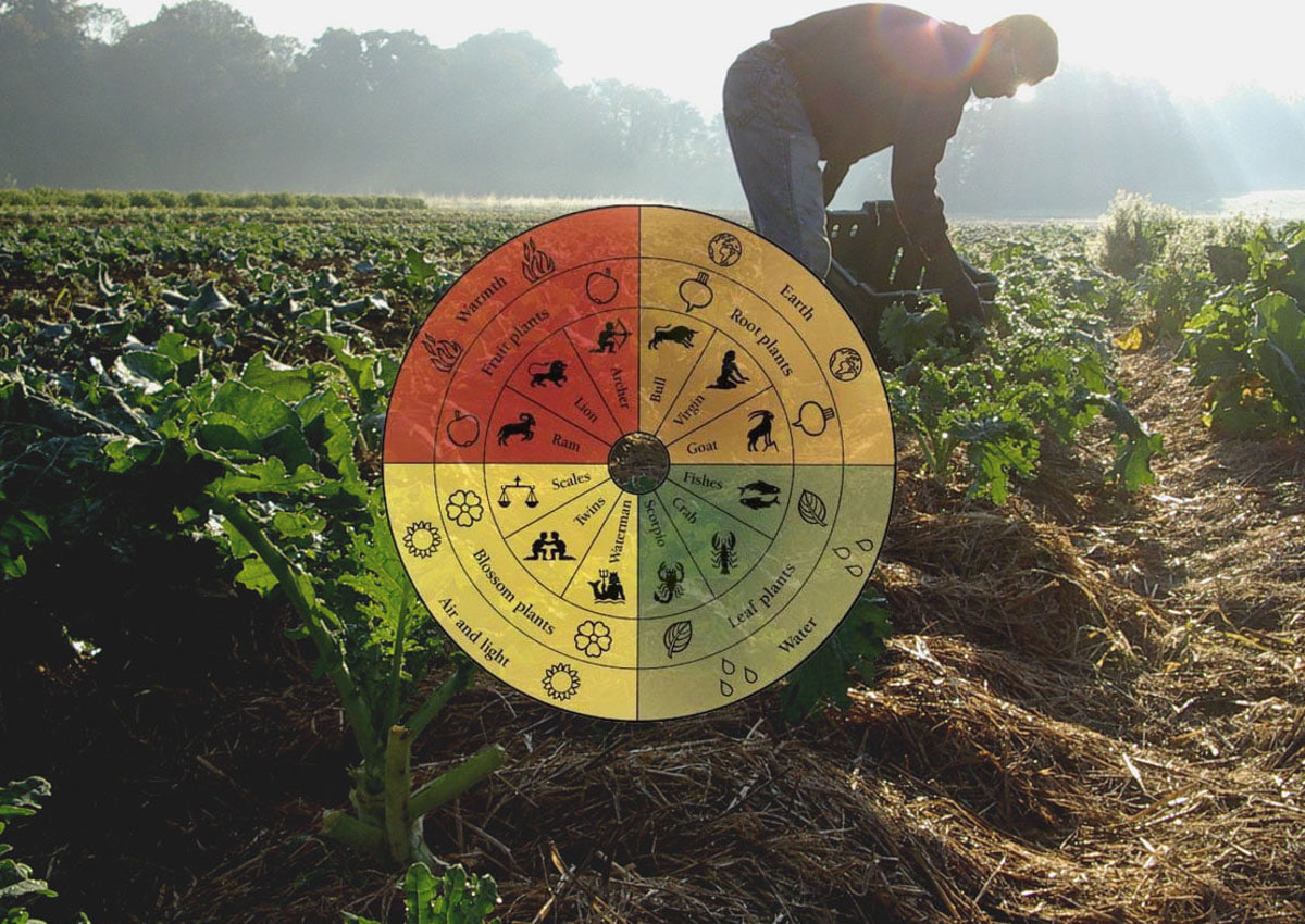 مقالة علمية للانسة نور الهدى عزمي حسن بعنوان "الزراعة الحيوية"