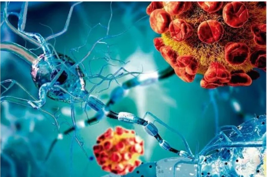 مقالة علمية بعنوان "التهاب السحايا" للطالبة (بركات يحيى عبد الكاظم) جامعة المستقبل-كلية العلوم-قسم علوم الفيزياء الطبية- المرحلة الثالثة_كروب وبأشراف (م.م علي جعفر عبيد)