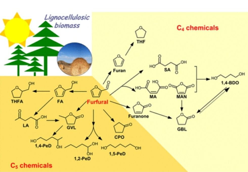 Furfural: A Versatile Chemical Compound