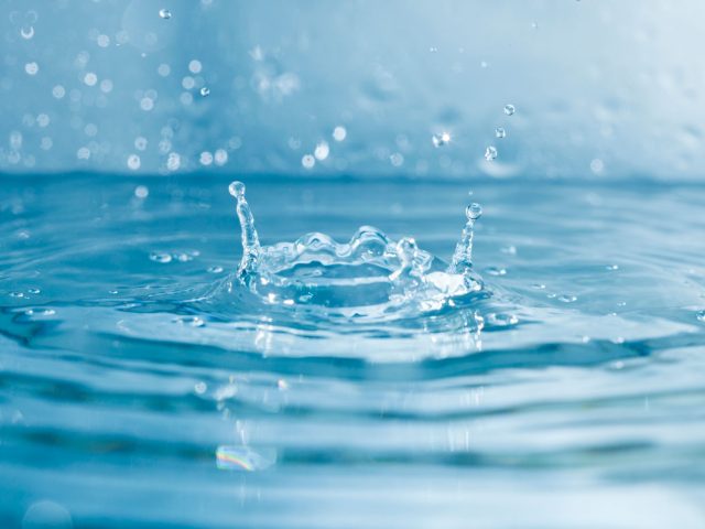 مقالة علمية للتدريسية (م.م زهراء جواد كاظم) بعنوان "تنقية المياه ذاتيا"