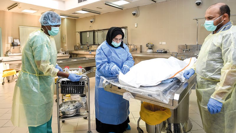 دور التشريح في الكشف عن الجرائم (م.م فاطمة توفيق الخزاعي) 