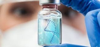 مقالة علمية للانسة ( هبه صلاح هادي ) بعنوان "" الفيزياء الحيوية ""