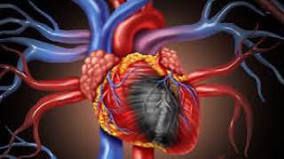 مقاله علمية للتدريسية ( سارة رحيم حمزة ) بعنوان "" اعصاب القلب ""