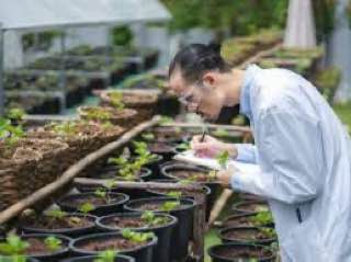 مقاله علمية للانسة ( هبه صلاح هادي ) بعنوان"" علم النبات ""