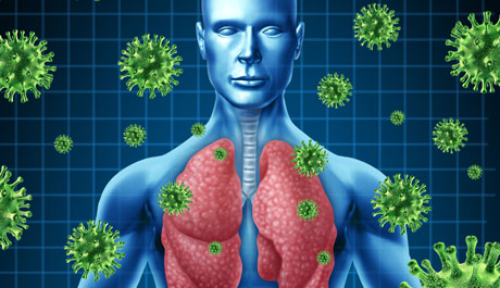 مقالة علمية للمعيدة (علا عادل رسمي ) بعنوان " الحساسية الموسمية: أسبابها وأعراضها وطرق الوقاية والعلاج"