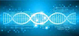 مقاله علمية للانسة( هبه صلاح هادي) بعنوان""اسس التقنيات ""