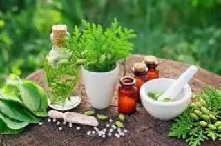 مقالة علمية للتدريسية  ( م.م رشا فجر كزار ) بعنوان "" الاعشاب  ""