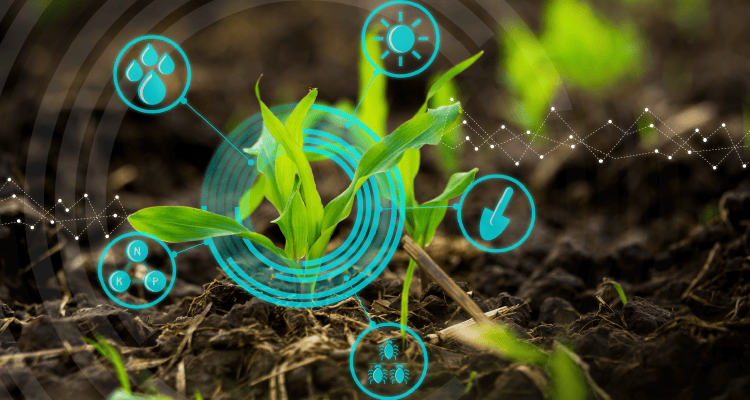 مقالة علمية للانسة نور الهدى عزمي حسن بعنوان " الزراعة والأنظمة الغذائية"