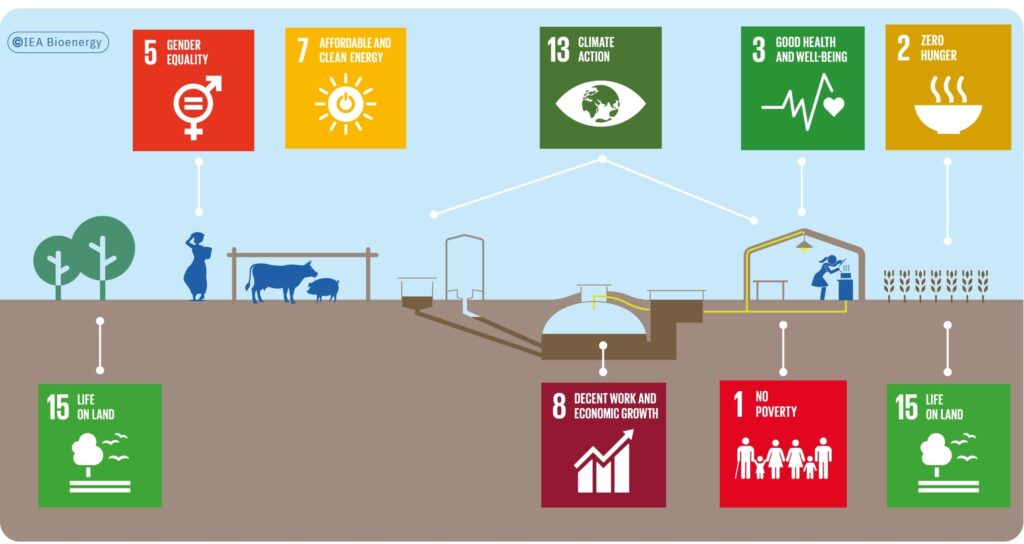 A Scientific Article by  Dr. Asil Amer Hadi, titled(Bioenergy and Its Role in Sustainable Development)