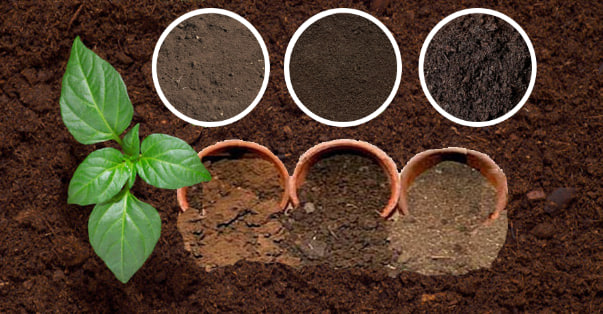 مقالة علمية للانسة نور الهدى عزمي بعنوان " تصنيف أنواع التربة وأثرها على النمو النباتي"