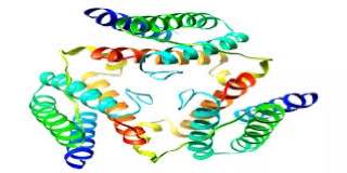 مقاله علمية للتدريسية (م.م رشا فجر كزار) بعنوان""/ دور هرمون اللبتين في صحة الإنسان""