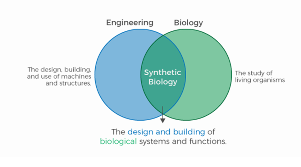 SYNTHETIC BIOLOGY ( Prof Dr. Fadhil Farhood  Makki )