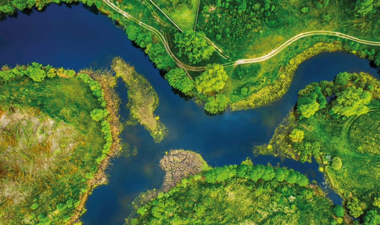 مقالة علمية للانسة نور الهدى عزمي بعنوان " أهمية الأراضي الرطبة كمواطن حيوية للحيوانات البرية والتنوع البيولوجي الذي تدعمه هذه البيئات"