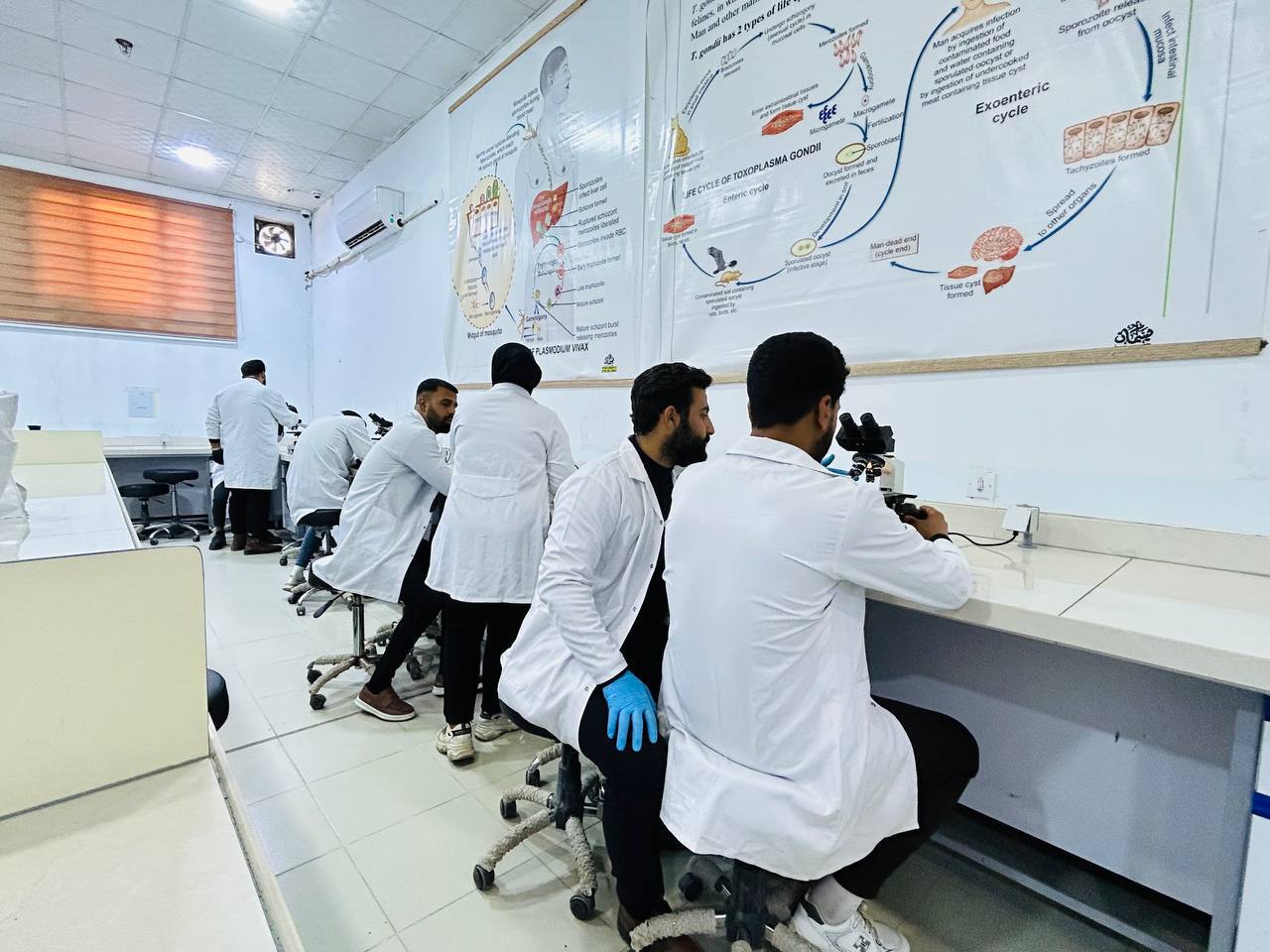 قسم تقنيات المختبرات الطبية يقيم ورشة تدريبية حول كيفية استخدام المجهر الضوئي وفحص العينات المختبرية