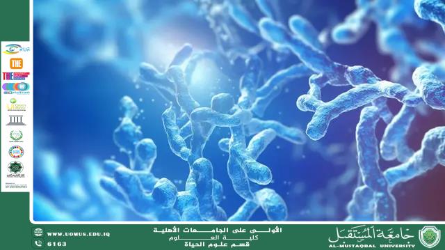 مقالة علمية للتدريسية ( م.م ضحى عبدالامير محمد ) بعنوان "الطب الجيني: المستقبل في العلاج والوقاية من الأمراض"