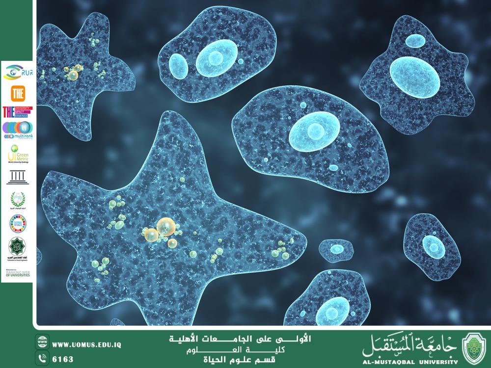 A scientific article by Professor Dr. Dhurgham Ali Abbas entitled"Protozoa as indicators of wastewater treatment efficiency"