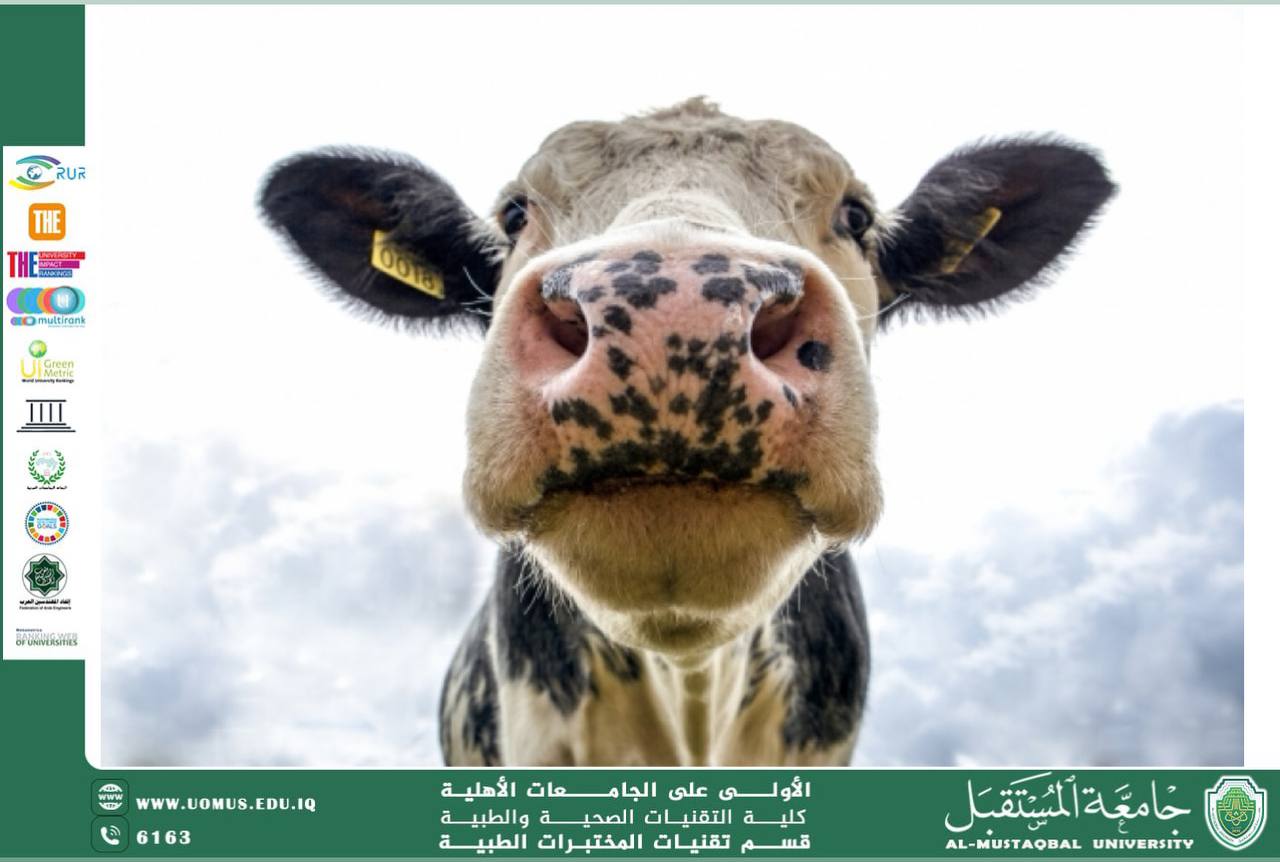 مقالة علمية للسيدة مريم نجاح هادي بعنوان الحمى القلاعية وعلاقتها بحياة الحيوان 