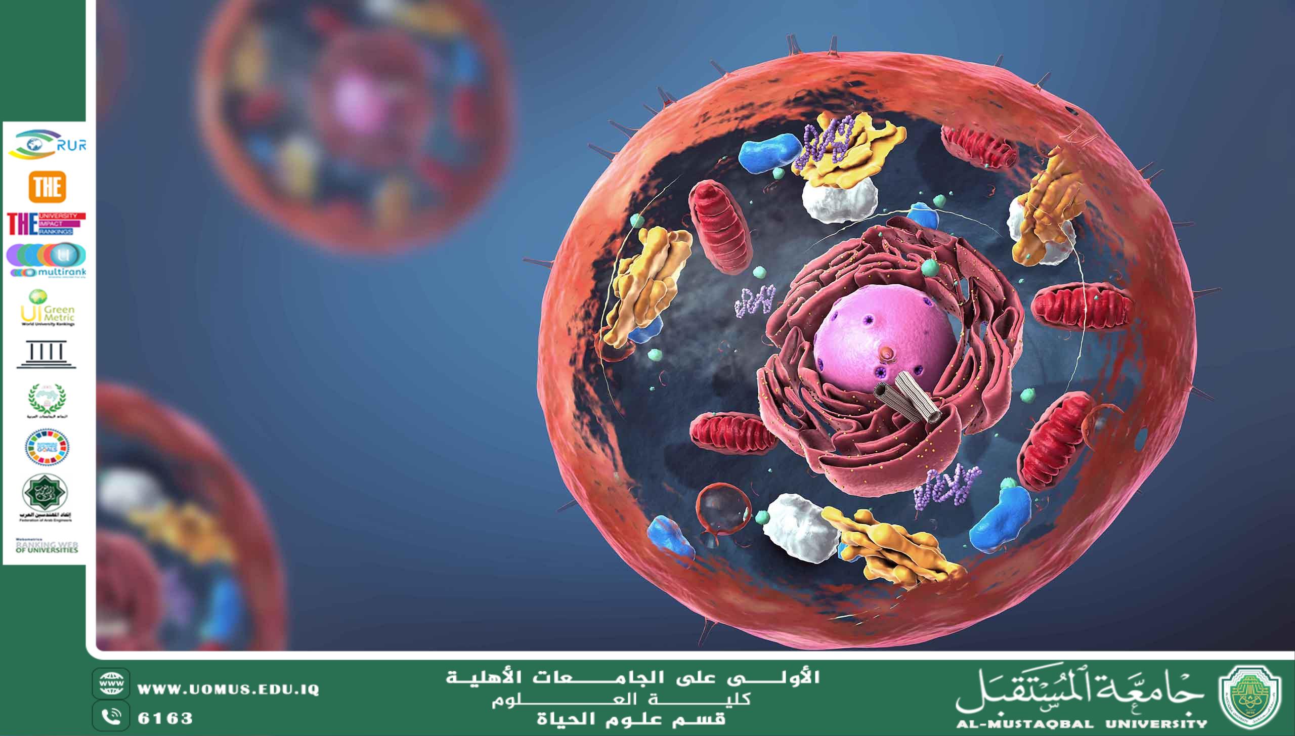 A scientific article by Ms. Ala Adel Rasmi entitled "  Cell Biology "