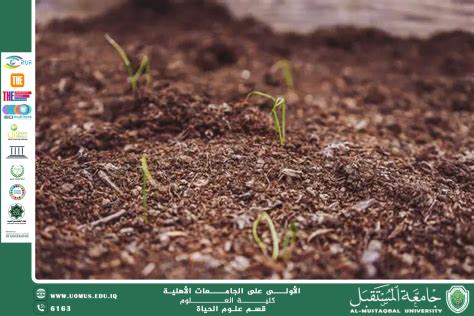 A scientific article by the teaching assistant, Banin Maan Karim, entitled “The role of soil in absorbing chemical pollutants.”