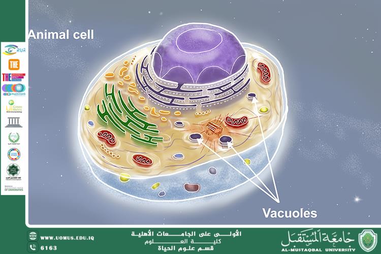 A scientific article by Ms. Benin Maan Karim entitled " Animal Cell "