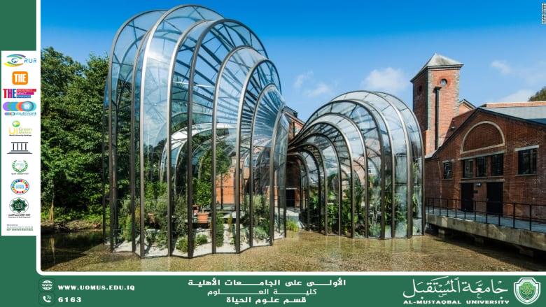 مقالة علمية للتدريسية م.م زينب ناظم عزيز  بعنوان "  صناعة التيراريوم: إنشاء حدائق زجاجية صغيرة "