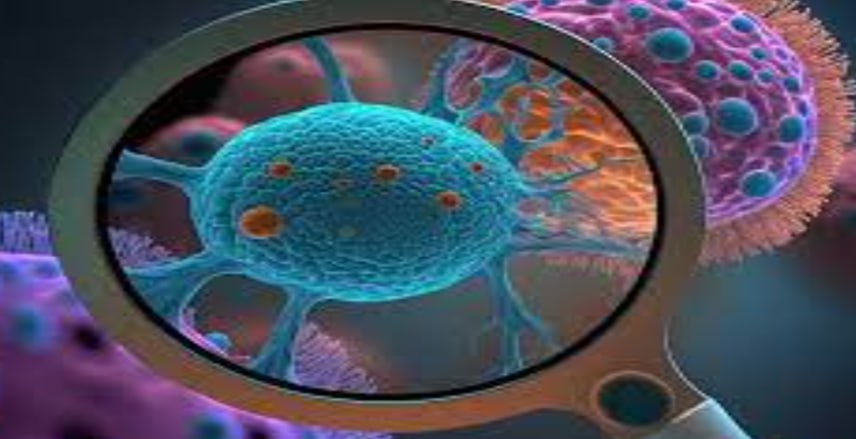 Advances and Challenges in the Early Detection of Cancer: Current Technologies and Future Directions