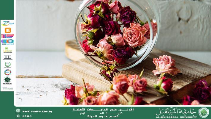مقالة علمية للتدريسية (م.م زينب ناظم عزيز ) بعنوان "صناعة الزهور المجففة: كيفية تجفيف الأزهار واستخدامها في الديكور"