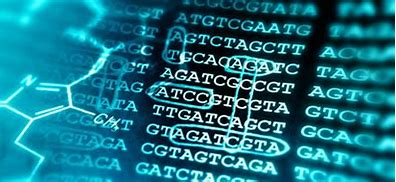 المعلوماتية الحيوية ودورها في تطوير العلوم الطبية والحياتية ( م.د. ميثم نبيل مقداد) 