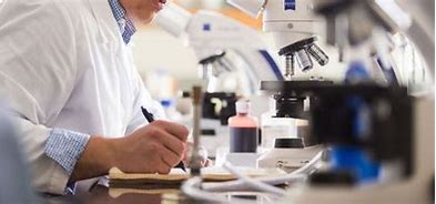 Bioinformatics and Its Role in Advancing Medical and Life Sciences ( Dr. Maytham Nabil Miqdad)  .