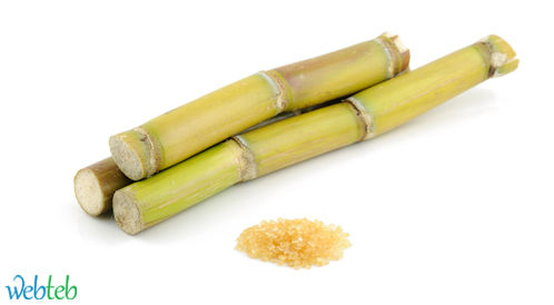 صناعة السـكر من قصب السـكر