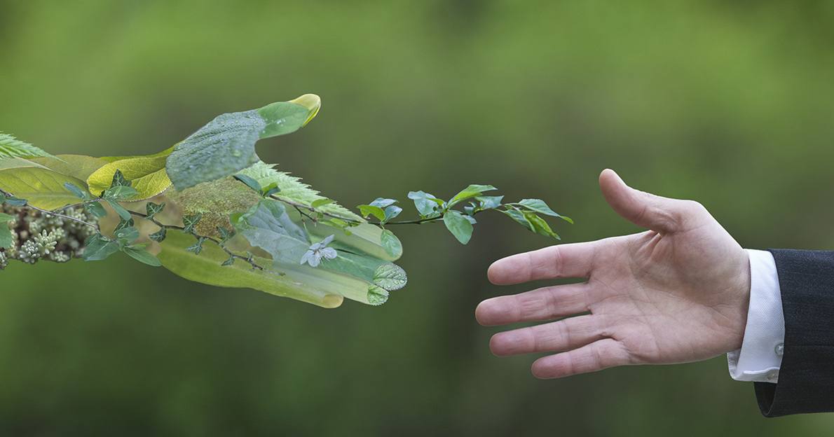 مقالة علمية للدكتور اصيل عامر هادي بعنوان (التكيف مع التغير المناخي: ضرورة ملحة للمستقبل )