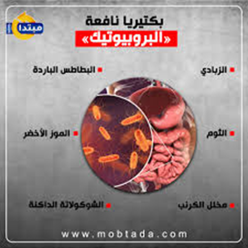 مقالة علمية للتدريسية م.م.صفا عامر خليل بعنوان (تأثير البكتيريا النافعة على صحة الجهاز الهضمي).