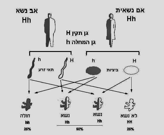 مقالة علمية للمعيدة اسلام فاضل موسى بعنوان (علم الوراثة والوراثة ).
