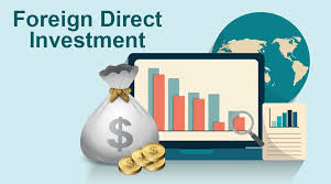 مقال بعنوان شركات الصرافة وتأثيرها على سعر الصرف الموازي