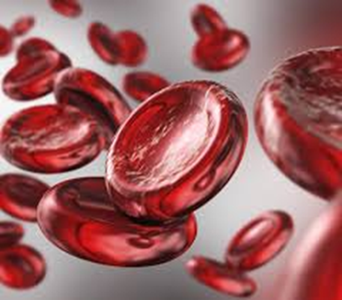 مقالة علمية للمعيدة اسلام فاضل موسى بعنوان(أمراض الدم).