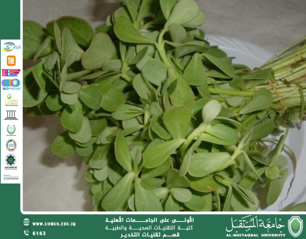فوائد عشبة الرجلة البيضاء (Portulaca oleracea var. sativa) في الصحة والعلاج
