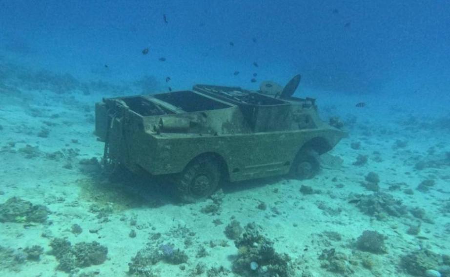 الحياة تحت الماء: عالم خفي مليء بالعجائب والتحديات