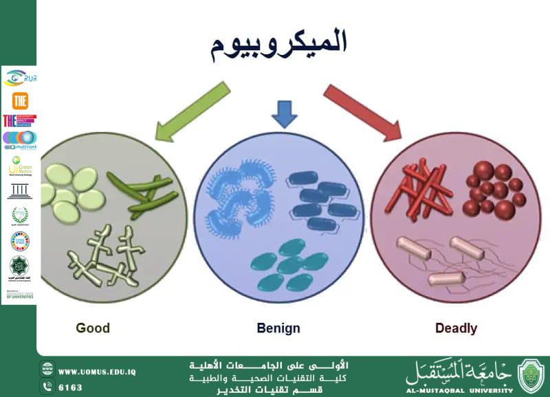 التغذية والميكروبيوم