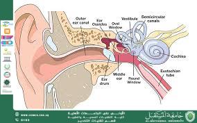 Ear pain