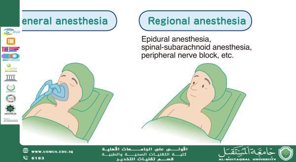 Impact of Opioid-Free Anesthesia on Analgesia and Recovery Following Bariatric Surgery: A Meta-Analysis of Randomized Controlled Studies