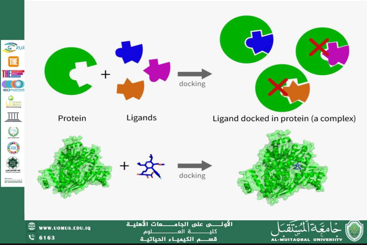 مقالة علمية للتدريسي احمد محمد يوسف بعنوان (تأثير الالتحام الجزيئي (Molecular Docking) على التنمية المستدامة)
