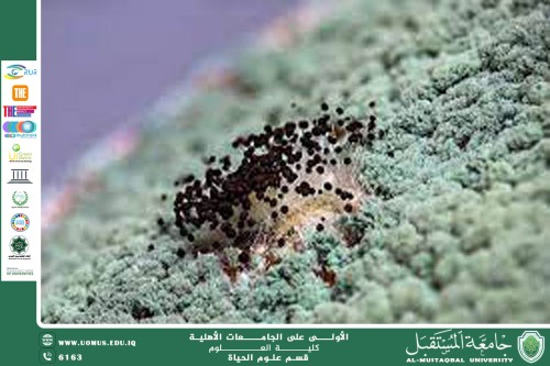 مقالة علمية للتدريسية ( م.م زينب ناظم عزيز )  بعنوان " فطر الترايكودرما (Trichoderma) ودوره في الزراعة"