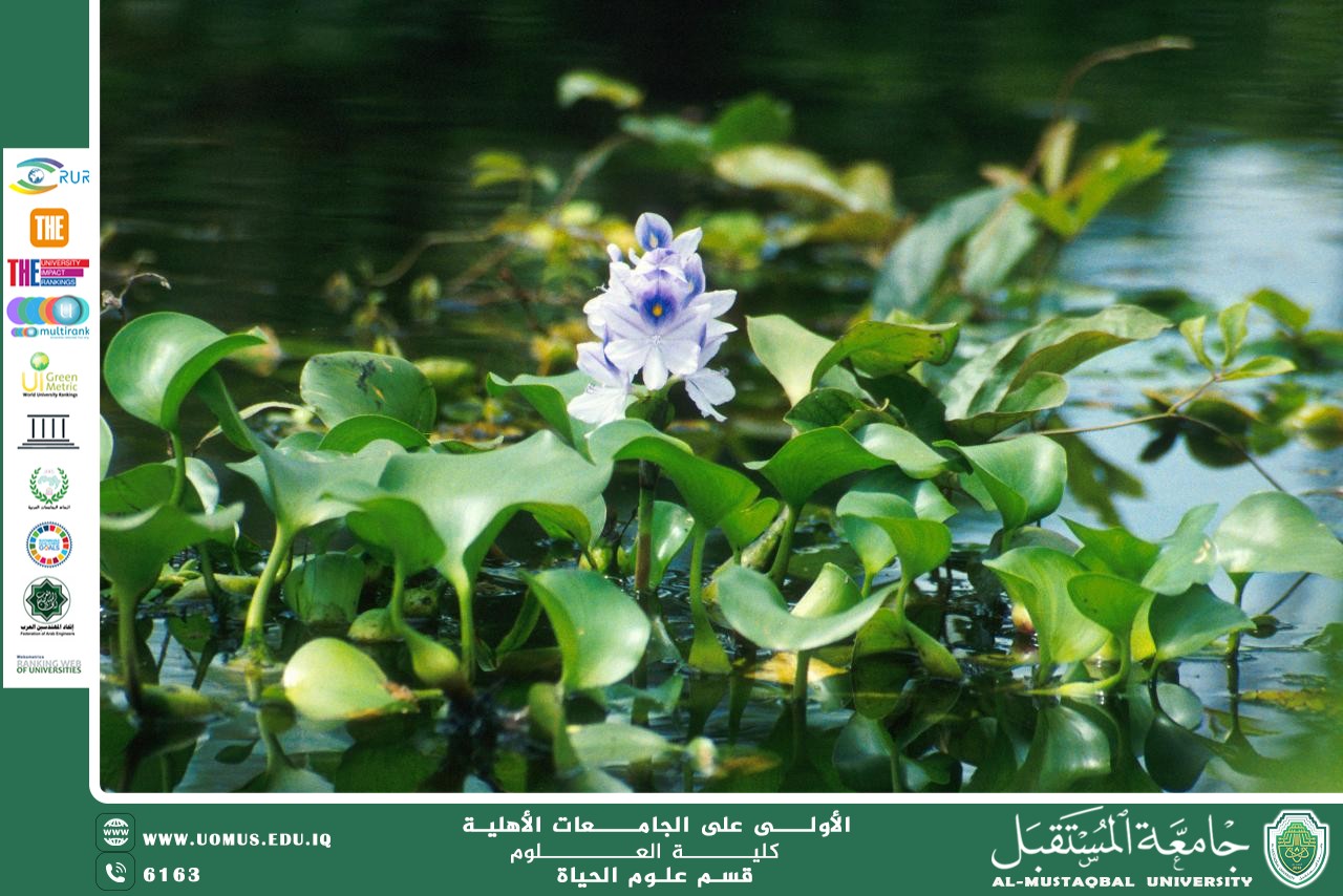 مقالة علمية للانسة نور الهدى عزمي حسن بعنوان " النباتات المائية "