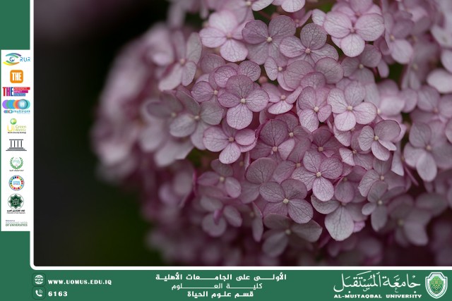 مقالة علمية للانسة نور الهدى عزمي حسن بعنوان " النباتات المزهرة "