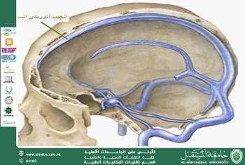 مقالة علمية للاستاذ الدكتور فاضل جواد أل طعمه وبعنوان (دراسة علمية في مجالي الجراحة العصبية والطبّ العدلي) للأصابة التي تعرض لها أمام المتقين علي بن أبي طالب (ع) 
