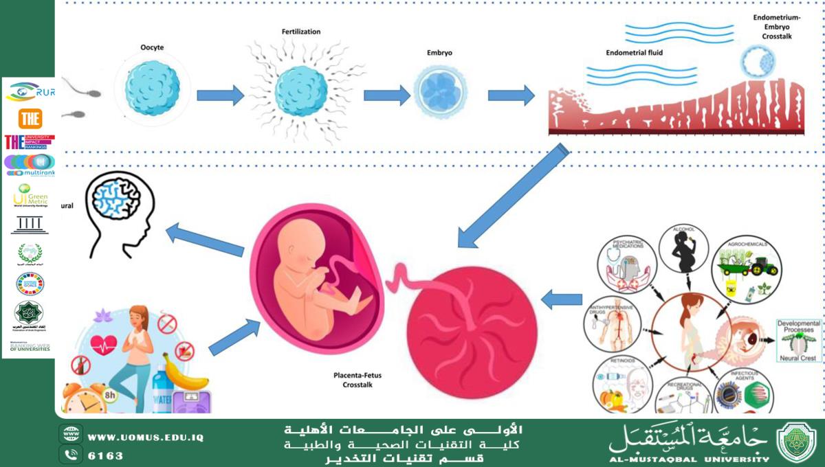 Epigenetic Influence of Maternal DNA
