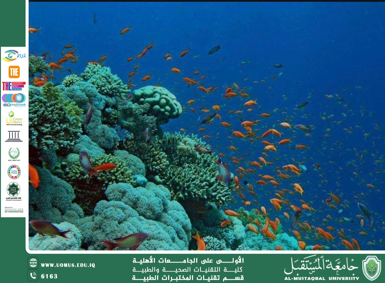 مقالة علمية للسيدة دعاء فاضل كاظم بعنوان الحياة تحت الماء 